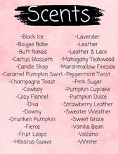 Load image into Gallery viewer, Texas Vent Clips