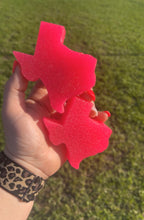 Load image into Gallery viewer, Texas Vent Clips