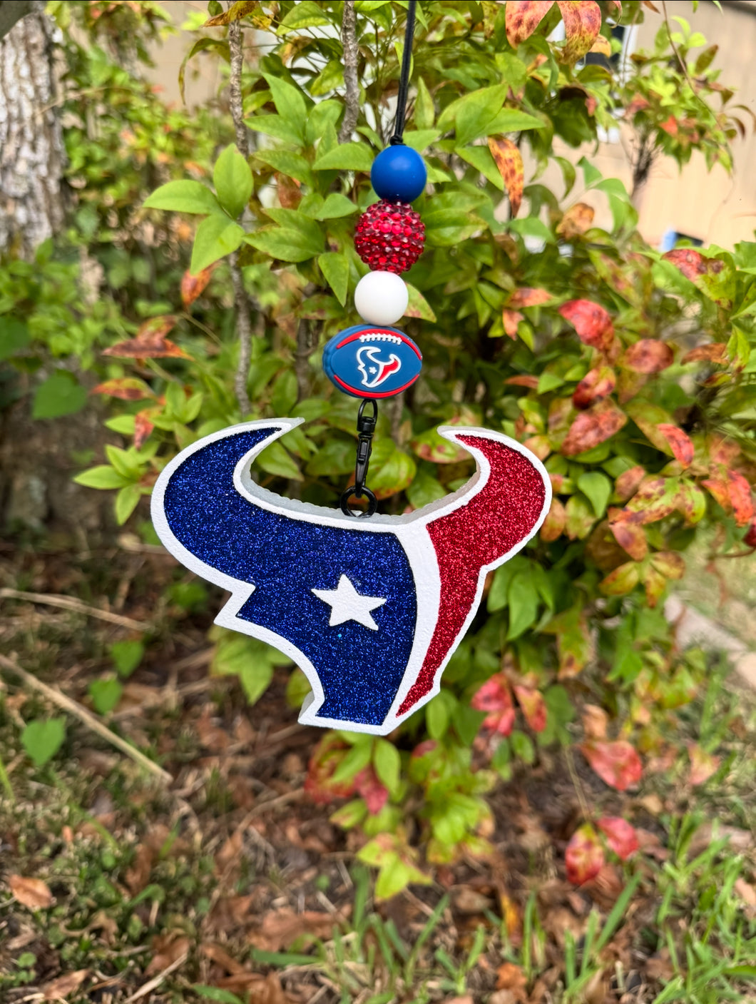 TX Football